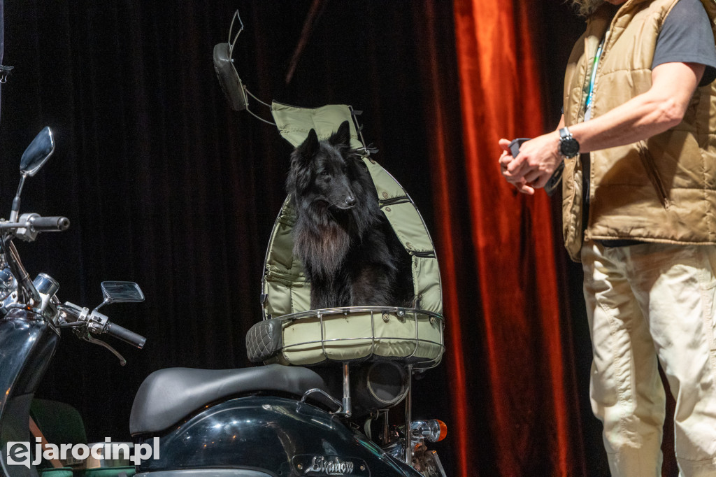 Niedzielne podróże w Jarocinie: muzyczna Jamajka, Tromsø i zorza polarna