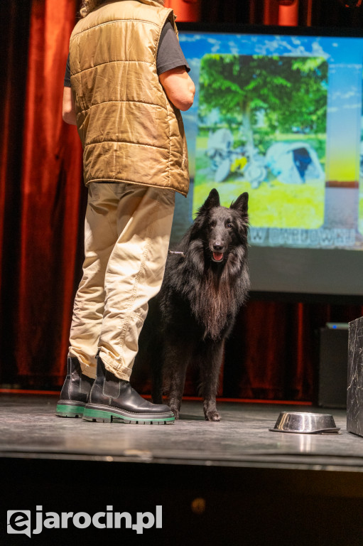 Niedzielne podróże w Jarocinie: muzyczna Jamajka, Tromsø i zorza polarna