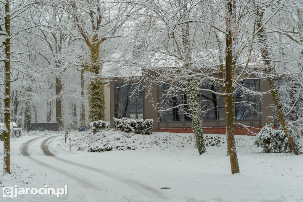 Park Radolińskich w zimowe odsłonie