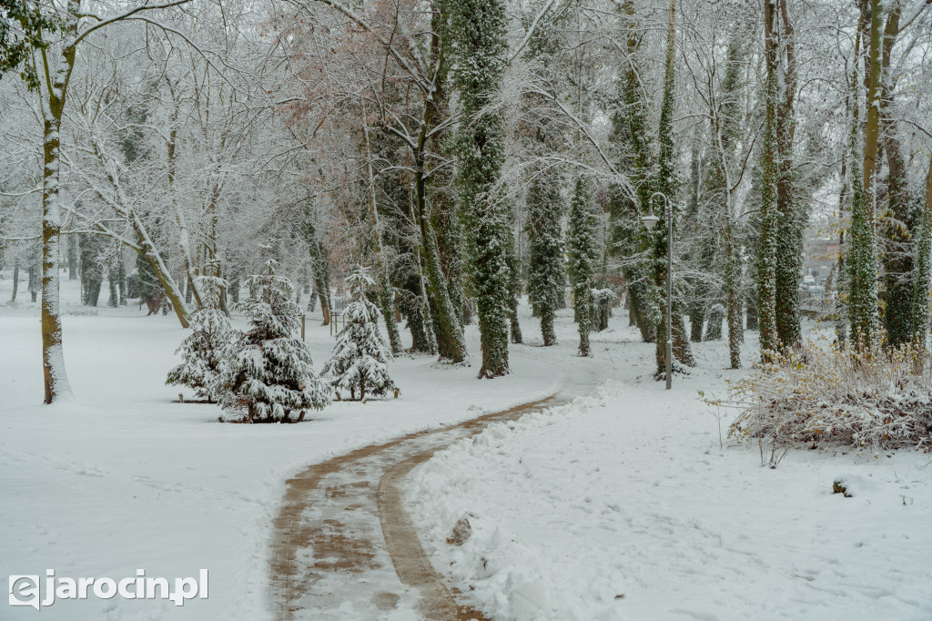 Park Radolińskich w zimowe odsłonie