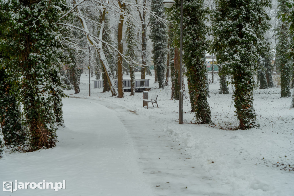 Park Radolińskich w zimowe odsłonie
