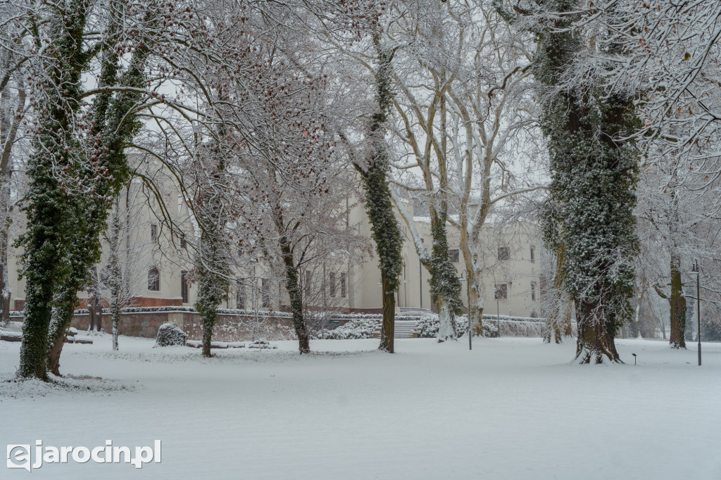 Park Radolińskich w zimowe odsłonie