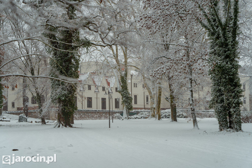 Park Radolińskich w zimowe odsłonie