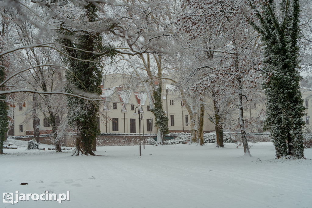 Park Radolińskich w zimowe odsłonie