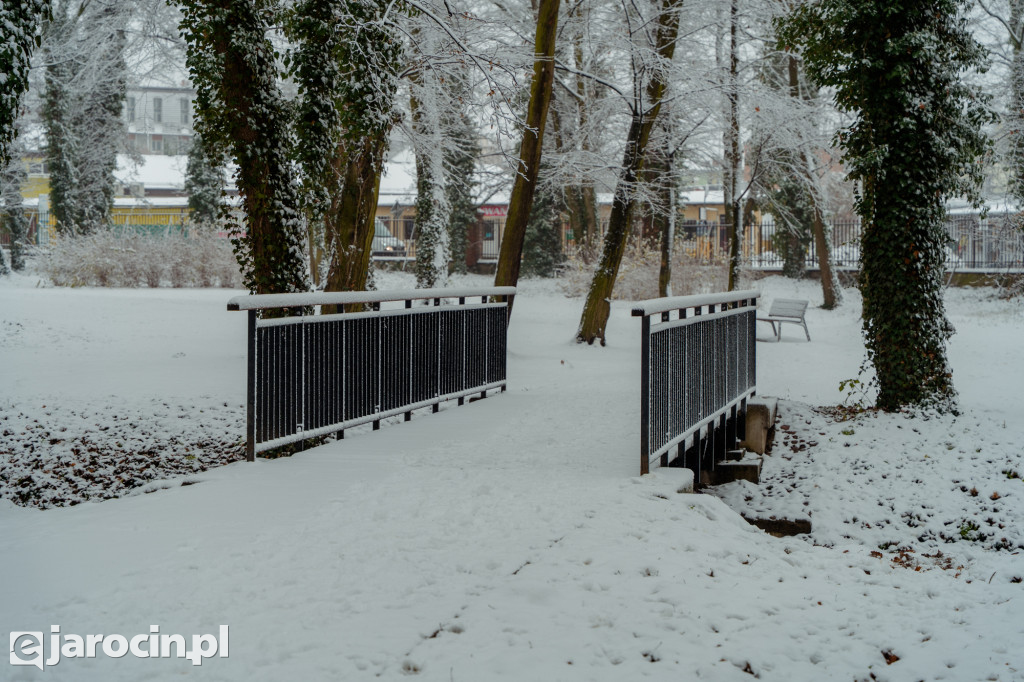 Park Radolińskich w zimowe odsłonie