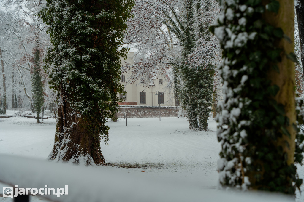 Park Radolińskich w zimowe odsłonie