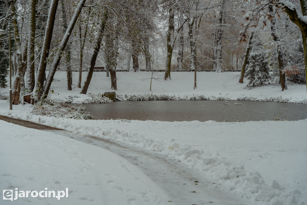 Park Radolińskich w zimowe odsłonie
