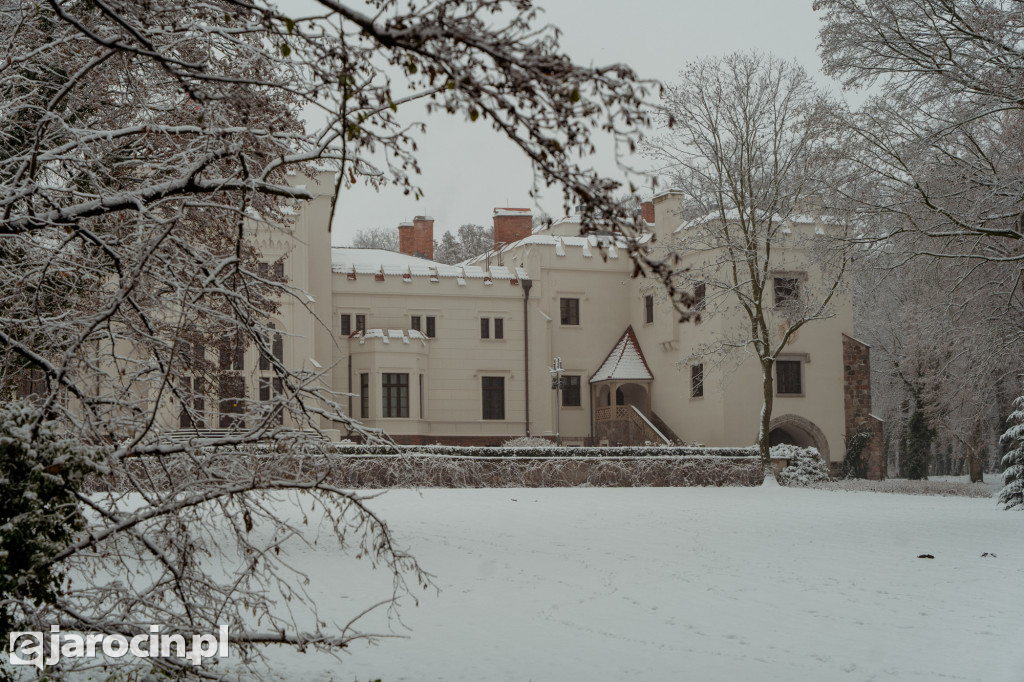 Park Radolińskich w zimowe odsłonie