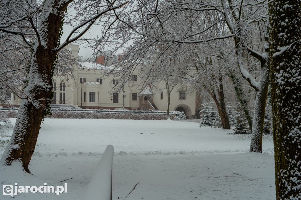 Park Radolińskich w zimowe odsłonie