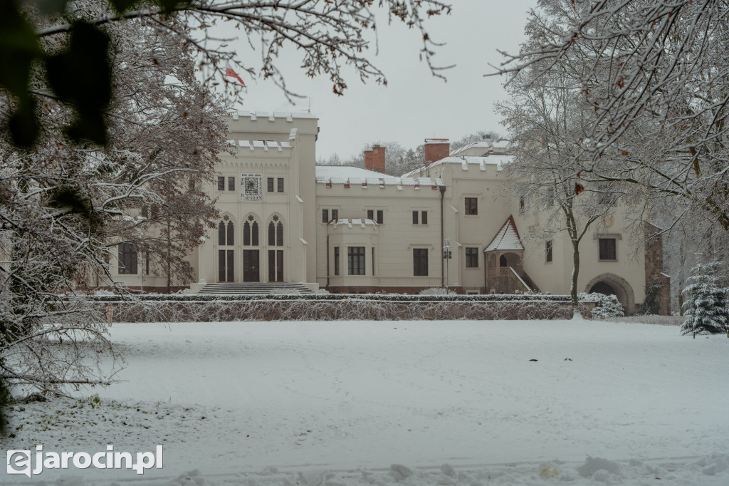Park Radolińskich w zimowe odsłonie