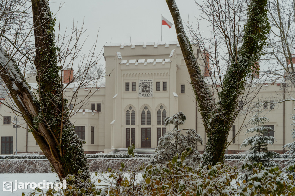 Park Radolińskich w zimowe odsłonie