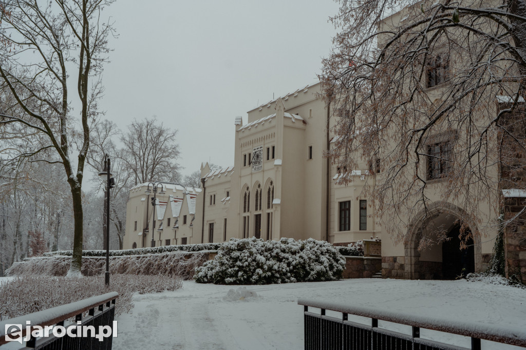 Park Radolińskich w zimowe odsłonie