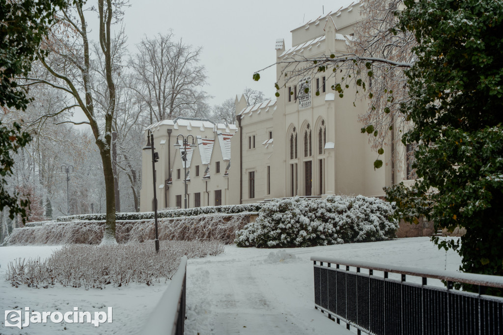 Park Radolińskich w zimowe odsłonie