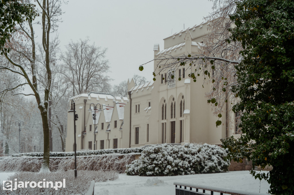 Park Radolińskich w zimowe odsłonie