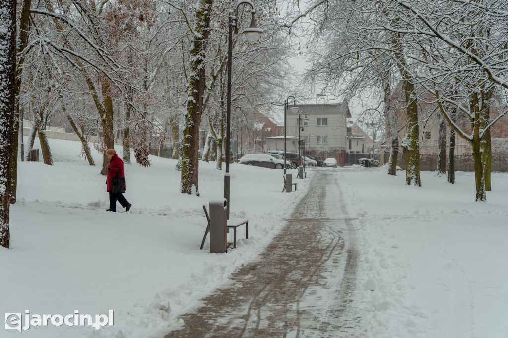 Park Radolińskich w zimowe odsłonie