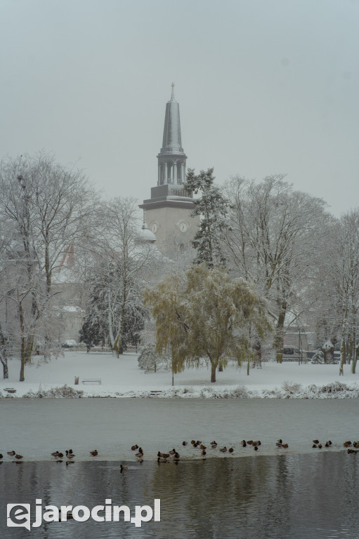 Park Radolińskich w zimowe odsłonie