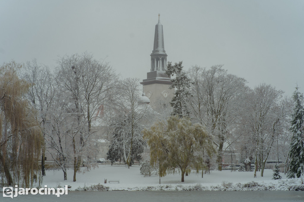 Park Radolińskich w zimowe odsłonie