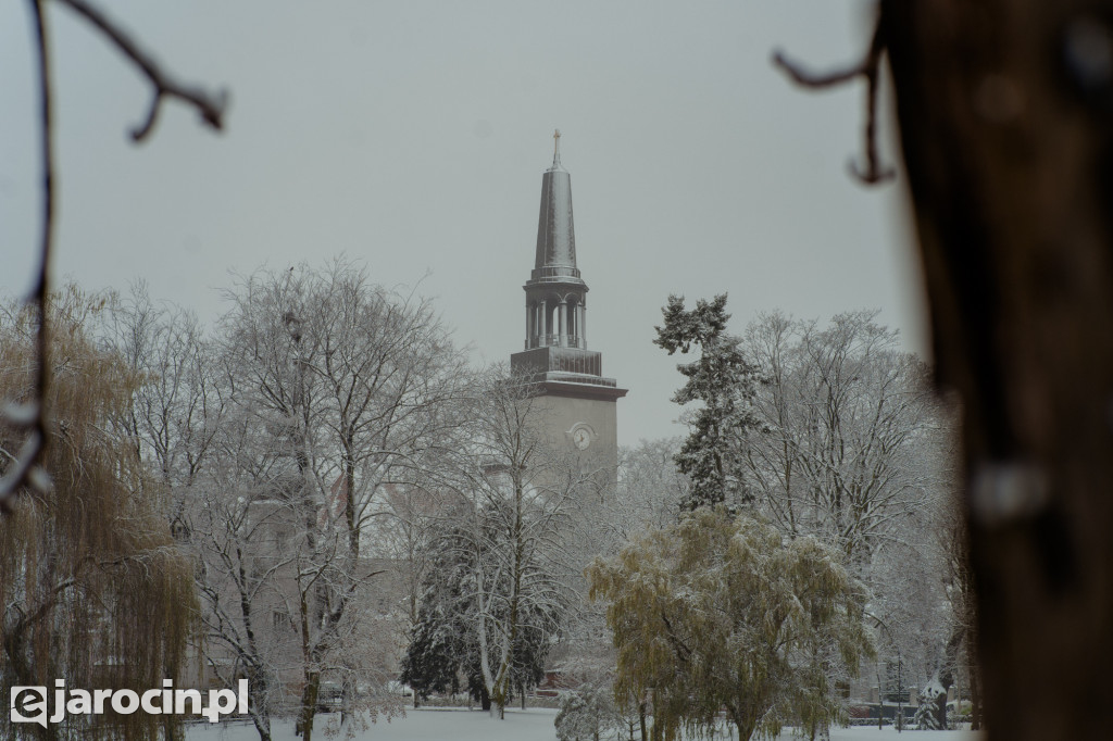 Park Radolińskich w zimowe odsłonie