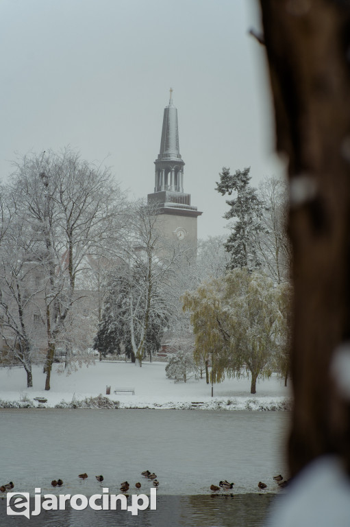 Park Radolińskich w zimowe odsłonie