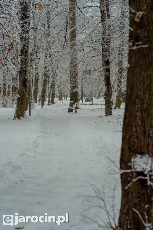 Park Radolińskich w zimowe odsłonie