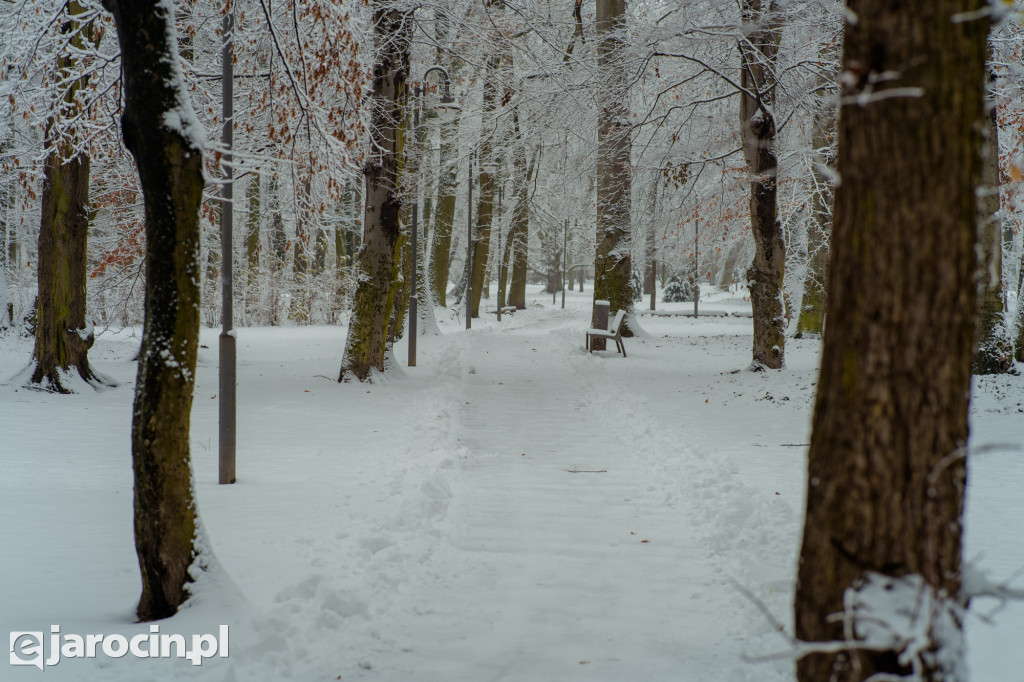 Park Radolińskich w zimowe odsłonie