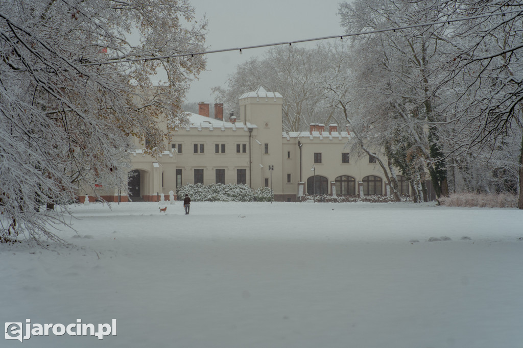 Park Radolińskich w zimowe odsłonie