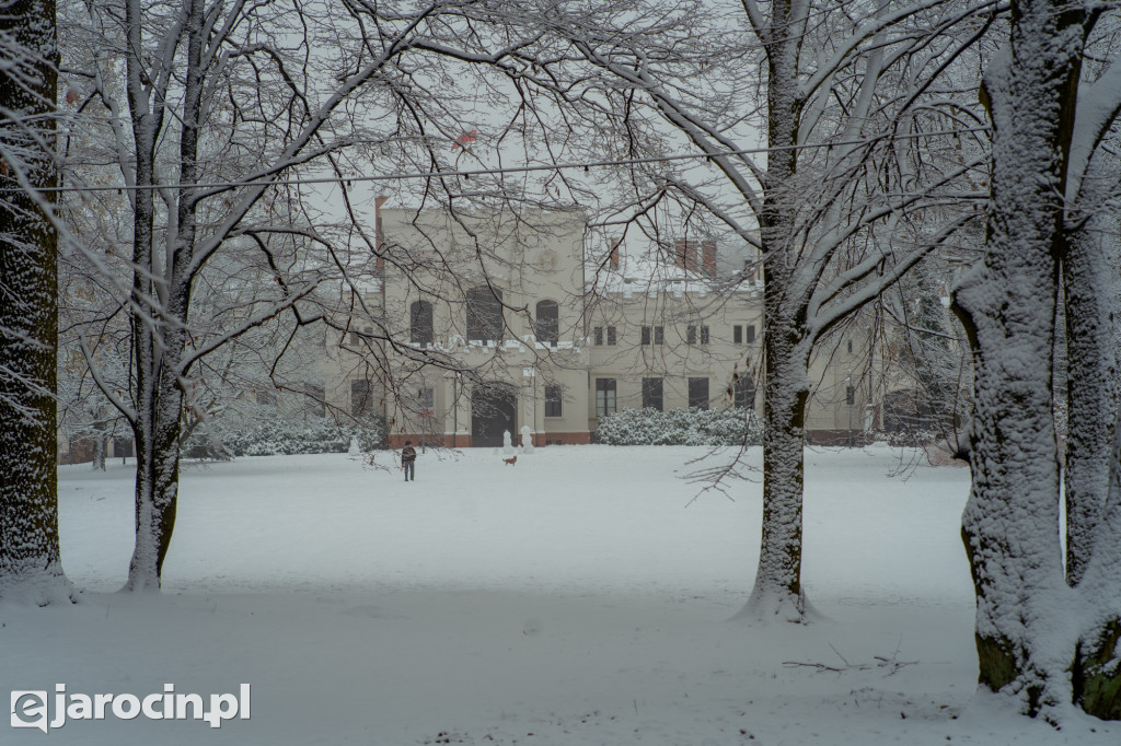 Park Radolińskich w zimowe odsłonie