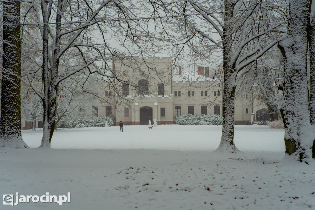 Park Radolińskich w zimowe odsłonie