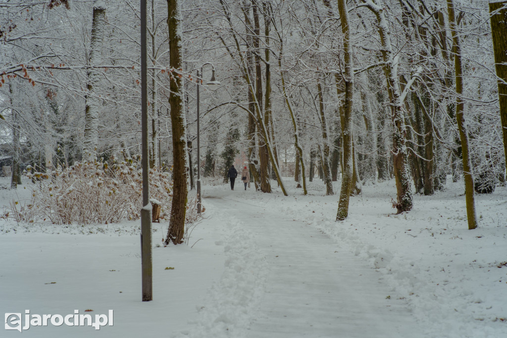 Park Radolińskich w zimowe odsłonie