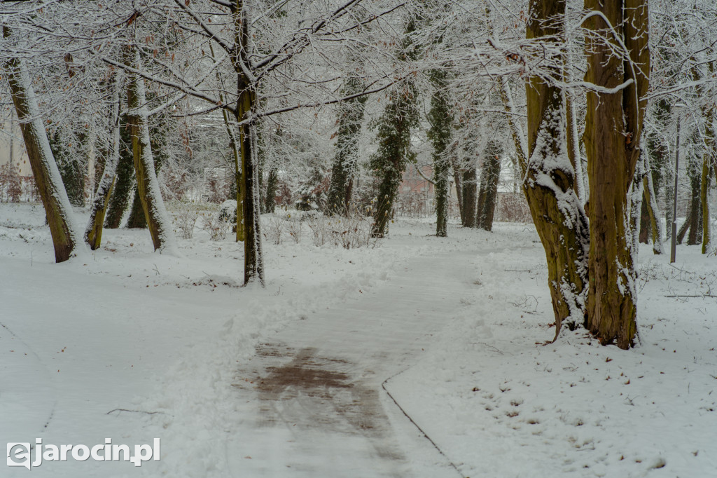 Park Radolińskich w zimowe odsłonie