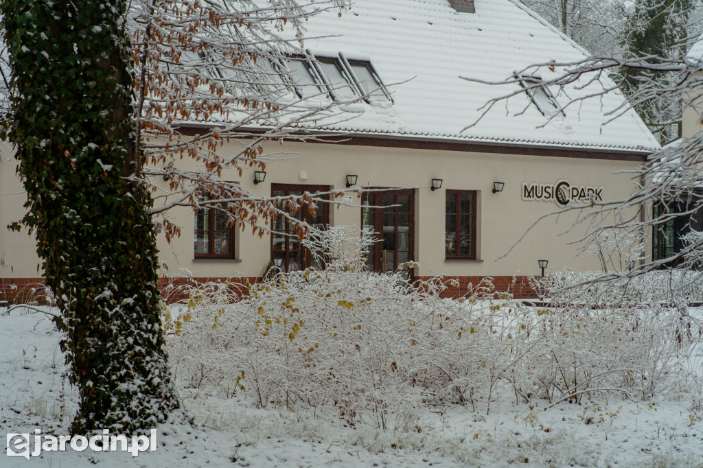 Park Radolińskich w zimowe odsłonie