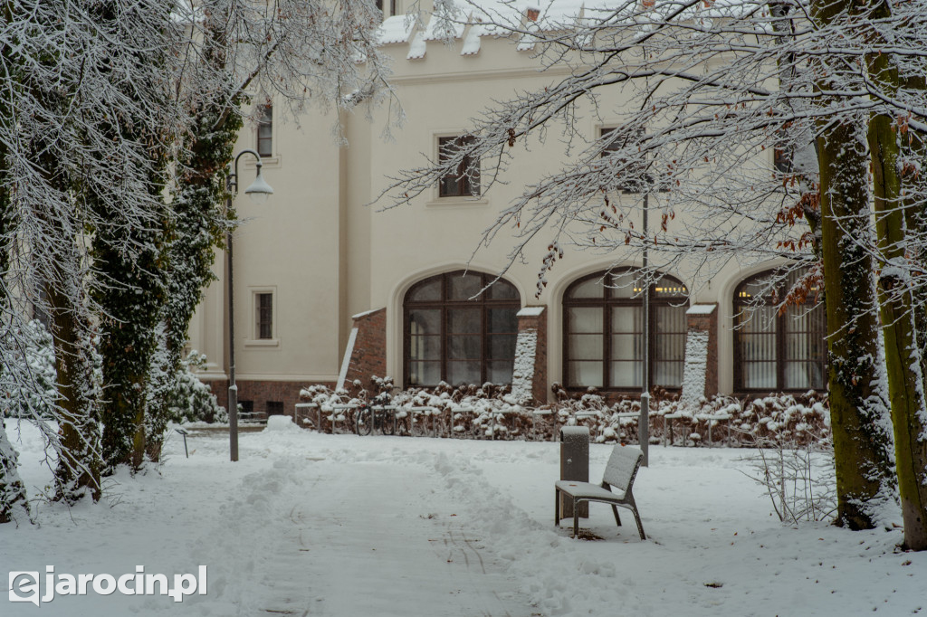 Park Radolińskich w zimowe odsłonie