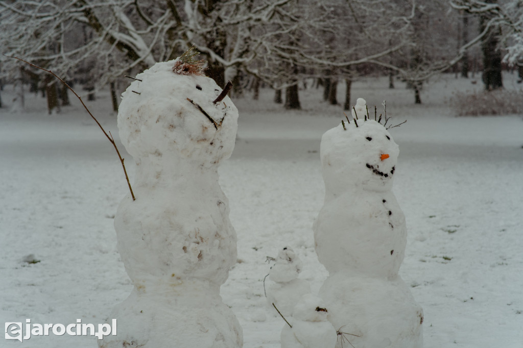 Park Radolińskich w zimowe odsłonie