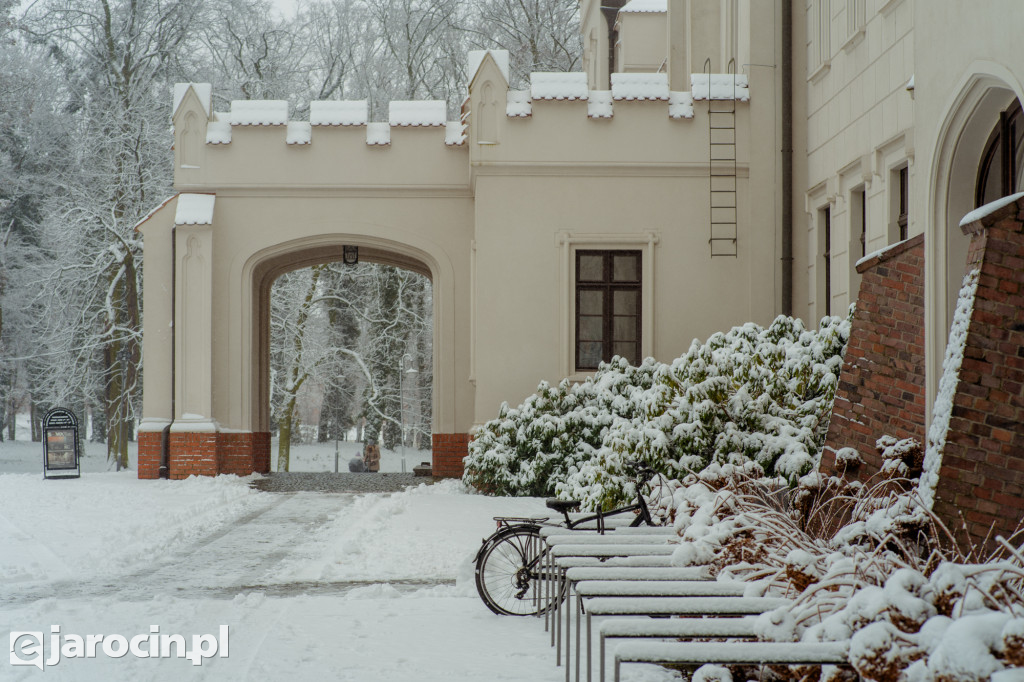 Park Radolińskich w zimowe odsłonie