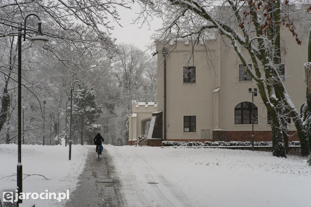 Park Radolińskich w zimowe odsłonie
