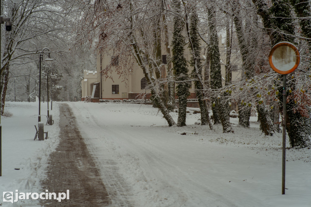 Park Radolińskich w zimowe odsłonie