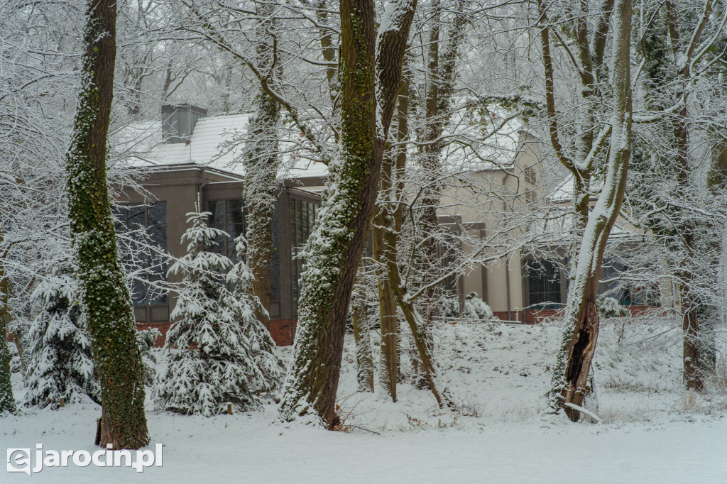 Park Radolińskich w zimowe odsłonie