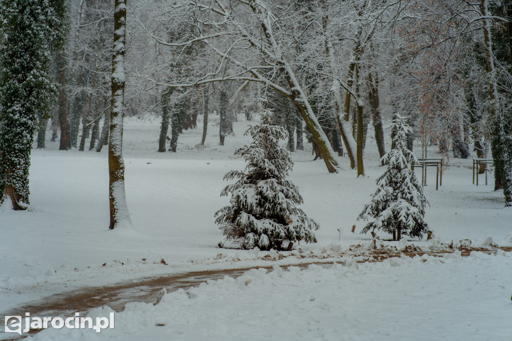 Park Radolińskich w zimowe odsłonie