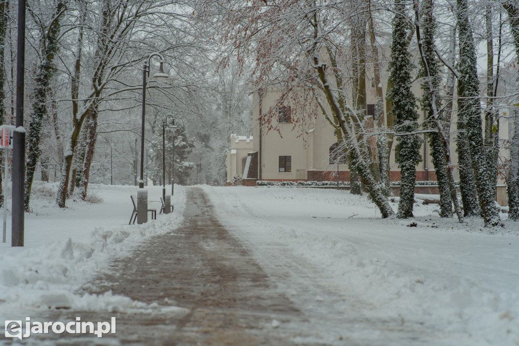 Park Radolińskich w zimowe odsłonie