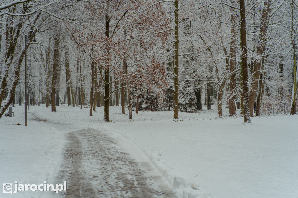 Park Radolińskich w zimowe odsłonie