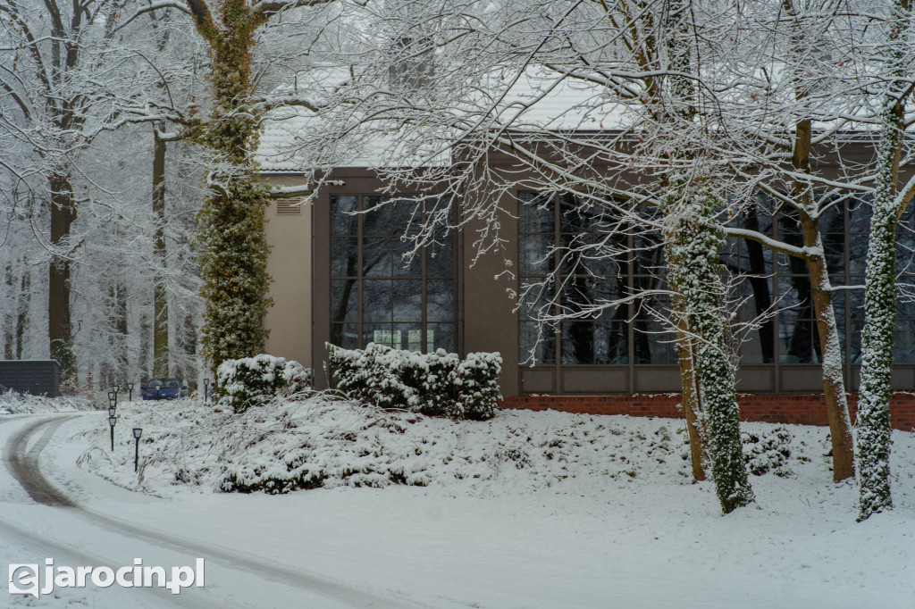 Park Radolińskich w zimowe odsłonie