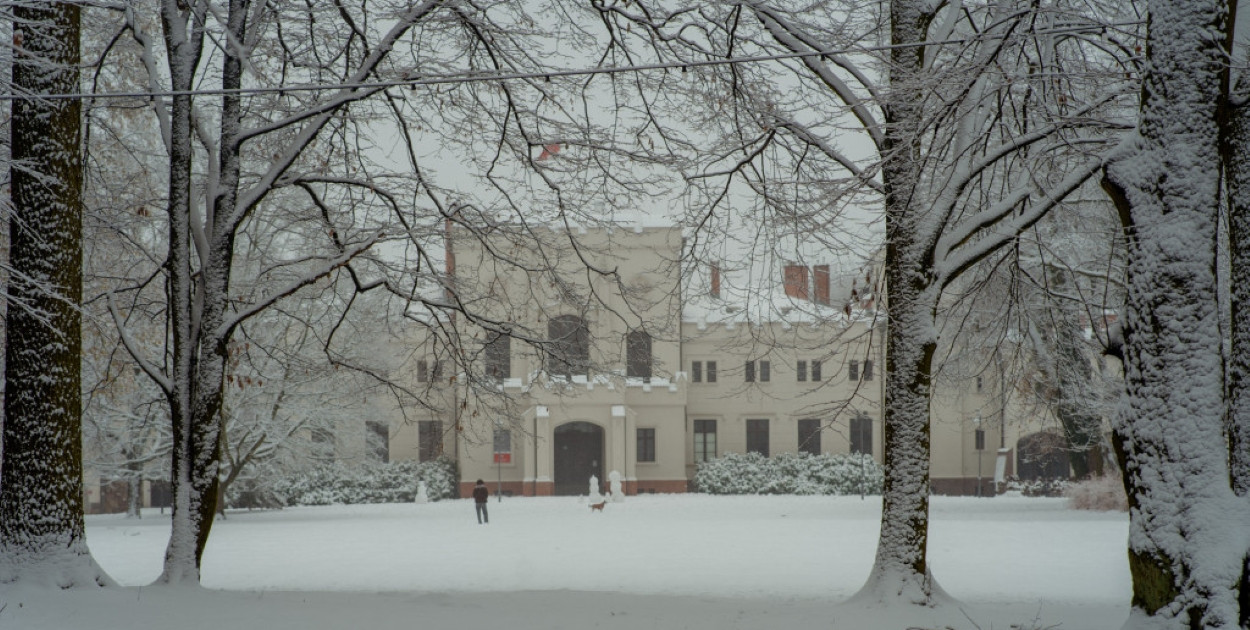 Park Radolińskich w zimowe odsłonie