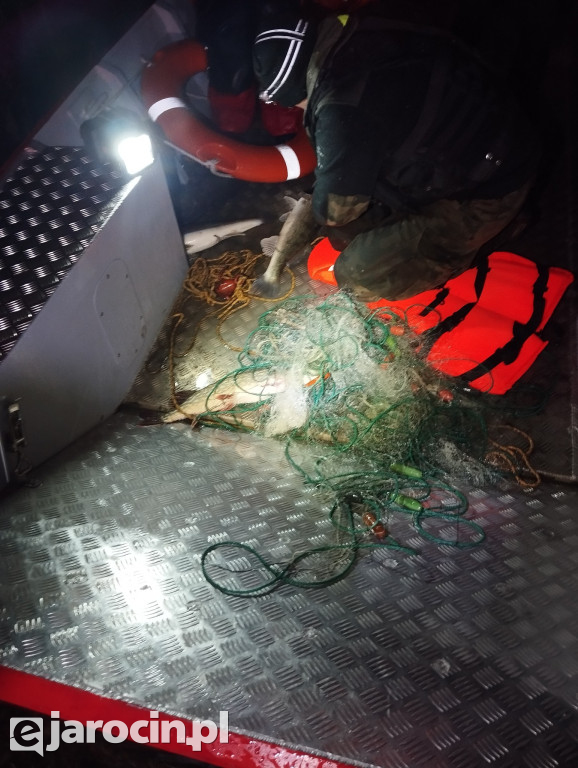 Roszków: kilometry nielegalnych sieci i setki ocalonych ryb