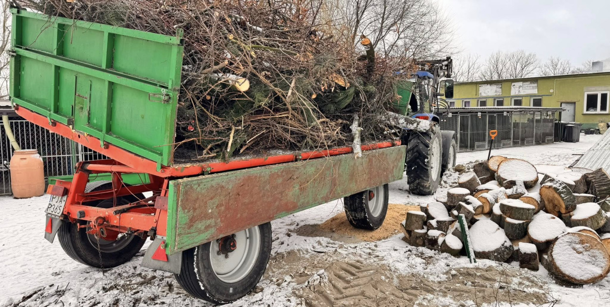 Mieszków połączył siły: park uprzątnięty, droga bezpieczniejsza, pomoc dla schroniska