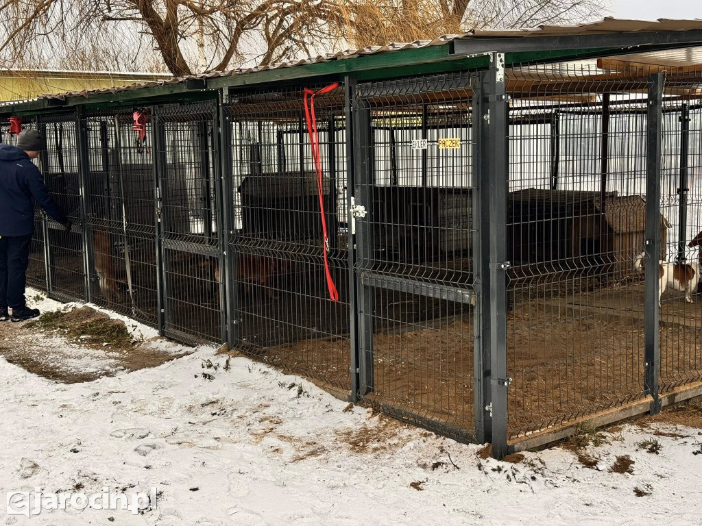 Mieszków połączył siły: park uprzątnięty, droga bezpieczniejsza, pomoc dla schroniska