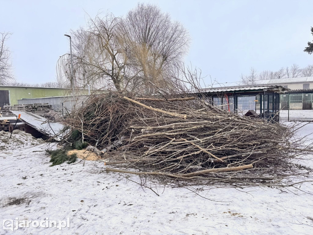 Mieszków połączył siły: park uprzątnięty, droga bezpieczniejsza, pomoc dla schroniska