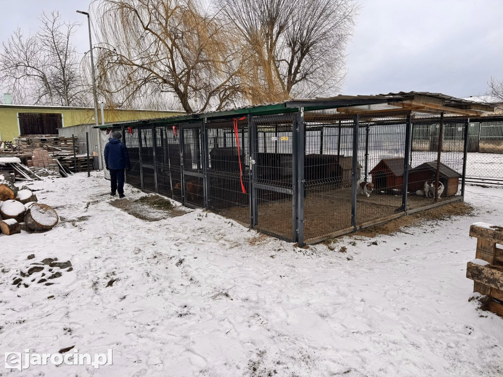 Mieszków połączył siły: park uprzątnięty, droga bezpieczniejsza, pomoc dla schroniska