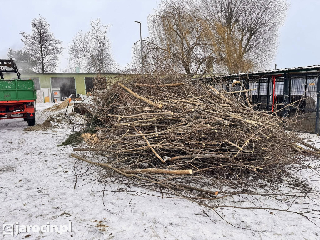 Mieszków połączył siły: park uprzątnięty, droga bezpieczniejsza, pomoc dla schroniska