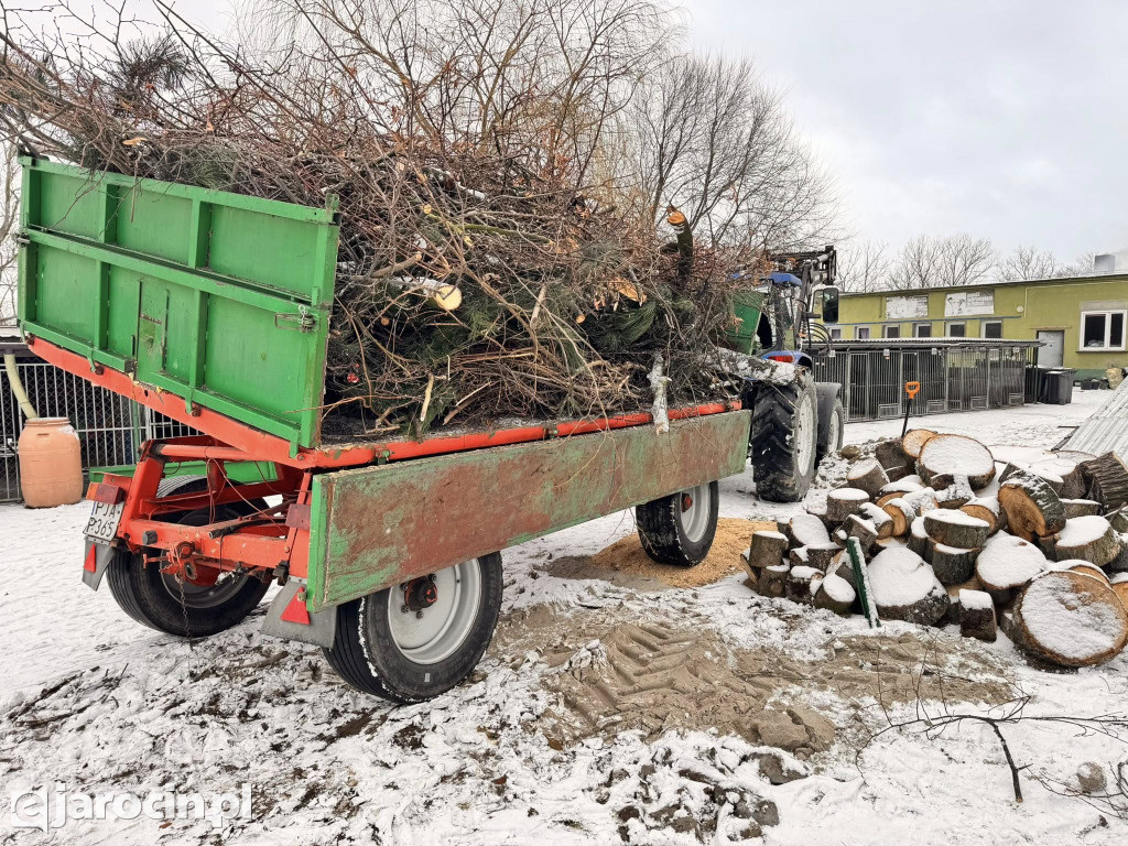 Mieszków połączył siły: park uprzątnięty, droga bezpieczniejsza, pomoc dla schroniska