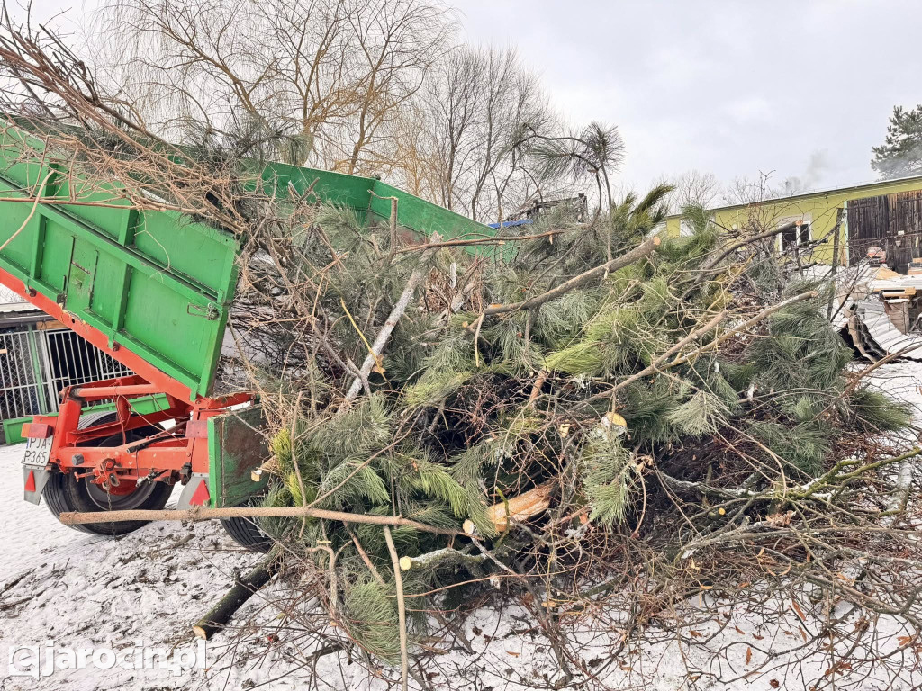 Mieszków połączył siły: park uprzątnięty, droga bezpieczniejsza, pomoc dla schroniska